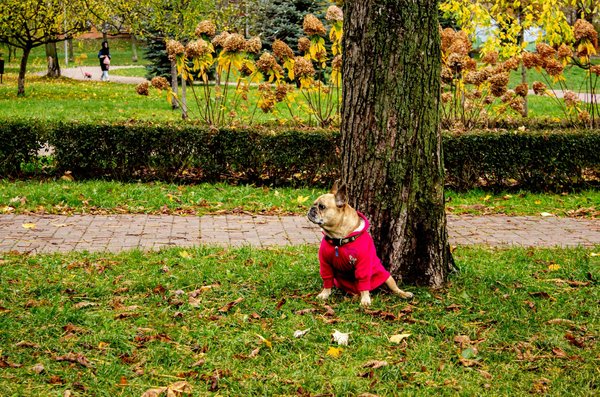 Stratégies Infaillibles pour Gérer l'Anxiété Avant votre Rendez-vous Gynécologique